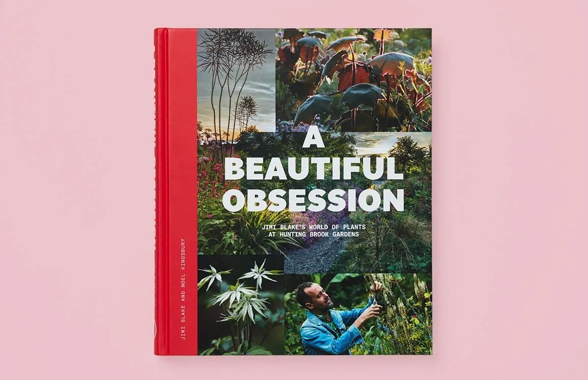 A Beautiful Obsession